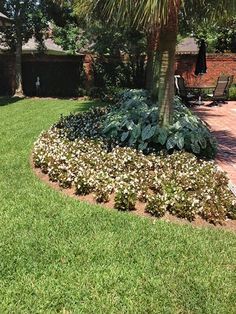 New Orleans Garden Design ponseti landscaping old metairie lakeview uptown new orleans garden design and maintenance Ponseti Landscaping Old Metairie Lakeview And Uptown New Orleans Garden Landscaping Design And Maintenance New Orleans Garden Design ponseti landscaping old metairie lakeview uptown new orleans garden design and maintenance Ponseti Landscaping Old Metairie Lakeview And Uptown New Orleans Garden Landscaping Design And Maintenance