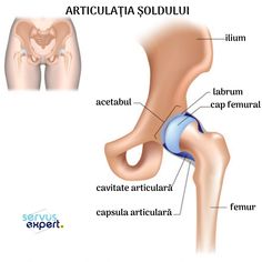 tratamentul coniac articular cum se vindecă unguentul articulației umărului