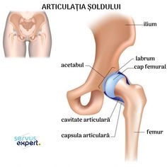 tratamentul coniac articular