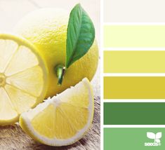 Unique YELLOW LEMON KITCHEN RUG Country Farm Cabin Spring Kitchen Decor Fun Mom