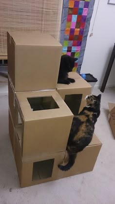 fabriquer un arbre a chat en carton http://www.arbre-a-chat-pas-cher.fr/fabriquer-un-arbre-a-chat-en-carton/