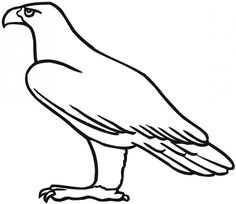 wedge-tailed eagle Colouring Pages | Eagles | Pinterest | Wedge ... wedge-tailed eagle Colouring Pages | Eagles | Pinterest | Wedge ...