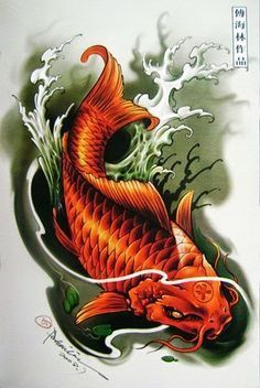 dragon coy