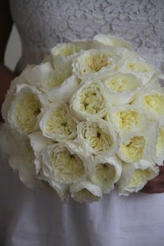 white wedding bouquet with the david austin rose patience. | we white wedding bouquet with the david austin rose patience. | we