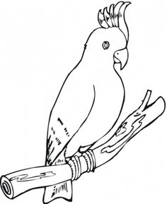 Cockatoo Parrot Coloring Page From Cockatoos Category Select 30423 Printable Crafts Of Cartoons Nature Animals Bible And Many More