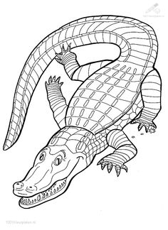 Color In This Happy Crocodile Page Animal Coloring Pages For Kids
