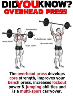 et Kettlebell Fat Bar Entraînement Musculaire Thick Bar Grips tours Barbell musculation