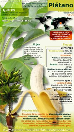 mwnci hollol plátanos y diabetes mwnci hollol plátanos y diabetes