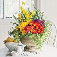 indoor container gardening dish garden incredible and easy indoor container ideas 11 best gardens images interior plants house indoor container gardening dish garden incredible and easy indoor container ideas 11 best gardens images interior plants house