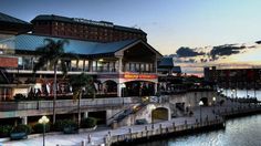 9 Best Jackson S Bistro Waterfront Dining Images Tampa Skyline 9 Best Jackson S Bistro Waterfront