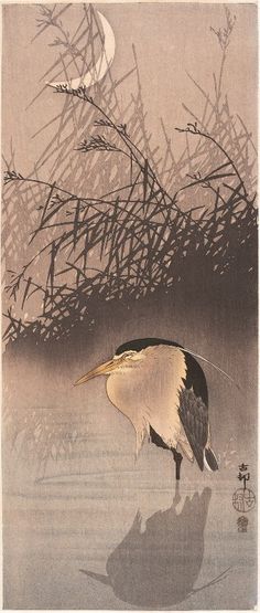 花鳥画」のアイデア 360 件 | 日本画, 日本美術, 小原古邨 花鳥画」のアイデア 360 件 | 日本画, 日本美術, 小原古邨