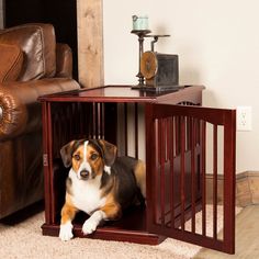 overstock pet supplies