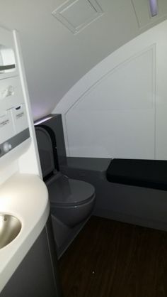 Handicap Bathroom Airplane pinvilo_vilo on luxury | pinterest | falcons and toilet Handicap Bathroom Airplane pinvilo_vilo on luxury | pinterest | falcons and toilet