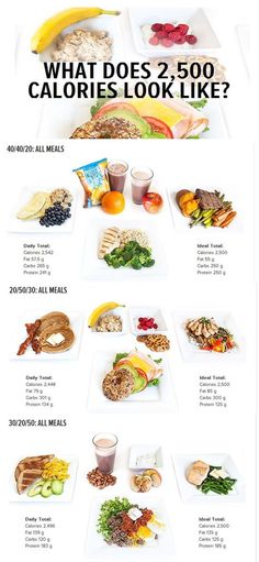 800 calorie hcg food plan what s to eat hcg pinterest food what does 2 500 calories look like
