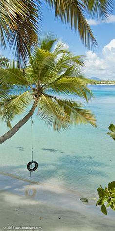 225 Best The Good Life Images On Pinterest In 2018 Beach Homes Oppenheimer Beach On Hawksnest Bay St My Top Choice Of Things To Do