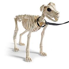 21 12 skeleton dog on leash halloween decorations and decor