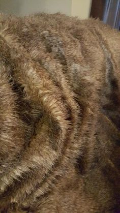 Luxury Faux Wolf Fur Fabric 58 Gray Fashion Arel Color Is A Little More Natural Looking In Person
