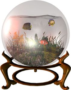381 best fish tanks