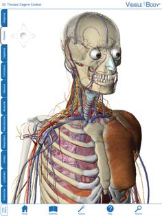 why is human anatomy atlas 2017 app on sale why is human anatomy atlas 2017 app on sale