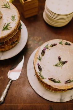 971 Best Diy Wedding Ideas Images On Pinterest In 2018 Intimate Elizabeth And Ross Intimate San Go Wedding