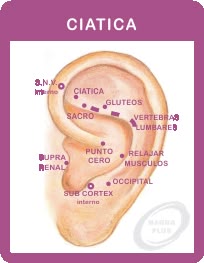 Tratamiento para adelgazar con semillas en la oreja