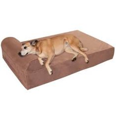 11 Top 10 Best Dog Pillows in 2019 images 11 Top 10 Best Dog Pillows in 2019 images