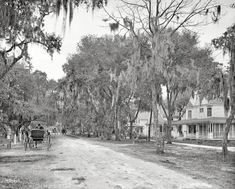 521 Best Historical Daytona And Ormond Beach Images On Pinterest In Historical Daytona And Ormond Beach Circa 1904 Ridgewood Avenue Florida The Surrey With