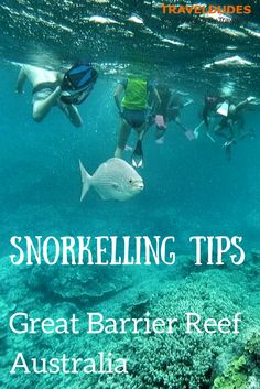 57 best snorkeling images