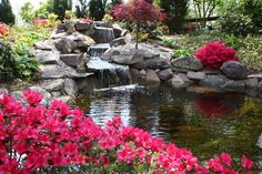 29 Koi Ideas Koi Pond Water Garden Koi