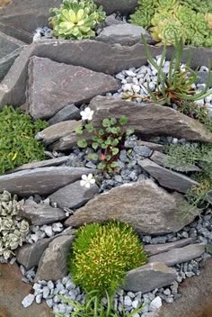The 421 Best Rockery Garden Images On Pinterest In 2018 Joseph Tychonievich Explores The New Styles And How To Make A One Rock Gardening Art Of Growing Small
