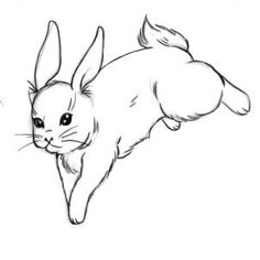 27 best drawing rabbits