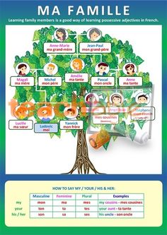 1466 best french images teaching french learn french french family tree template
