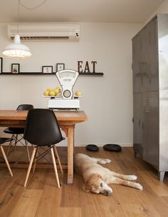 20+ Eames ideas | eames, eames chair, home decor 20+ Eames ideas | eames, eames chair, home decor