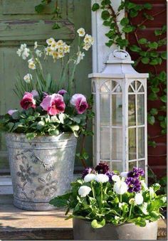 94 Besten Bilder Von Garten Deko In 2019 Home Decor Design Balkon Pflanzen Garten Terrasse Gartenhaus Frühling Blumen Deco