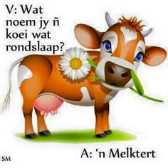 cow feed kamatie blend www