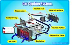 engine cooling system