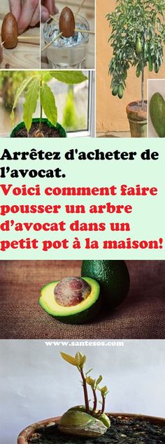 Al Rayani Fatima (alrayanif) on Pinterest - a quoi faire attention quand on achete une maison Al Rayani Fatima (alrayanif) on Pinterest - a quoi faire attention quand on achete une maison