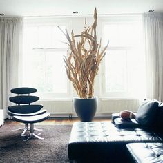 257 Best Driftwood Decorating Ideas Images On Pinterest Coffee 20 Original Ideas To Decorate Your Interior Using Driftwood Shelterness