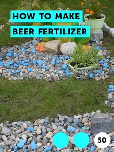 59 best rock garden