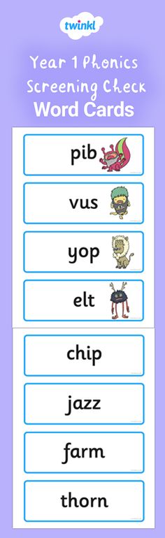 Segmenting /& Blending Words phase 2 phase 3 Reception KS1-24 flash cards