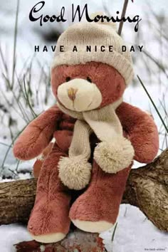 Cute Teddy Bear And Love Wallpapers Download For Mobile 3 Hd