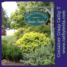 18 Best Garden Nurseries In Connecticut Images On Pinterest Entrance Of Moscarillo S In W Hartford Ct Oh They Have Lots Orchids
