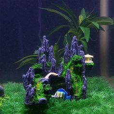 114 best fish pet