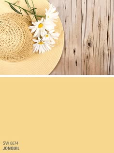 98 Best Simmering Summer Paint Colors Images On Pinterest 98 Best Simmering Summer Paint Colors Images On Pinterest In 2018 Shades Sherwin William And Drawings