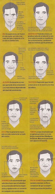 150 Ideas De Lenguaje Corporal Lenguaje Corporal Lenguaje Lenguaje Gestual