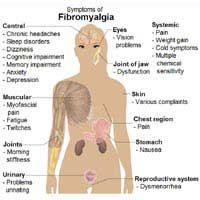 pavimento+pelvico+dolore+e+malattie+autoimmunity