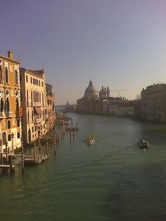 beers and beans venice after