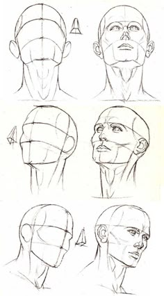 Portrait - Different angles and perspective of the head Head Anatomy