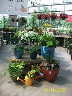25 Best Garden Center Highlights Images In 2020 25 Best Garden Center Highlights Images