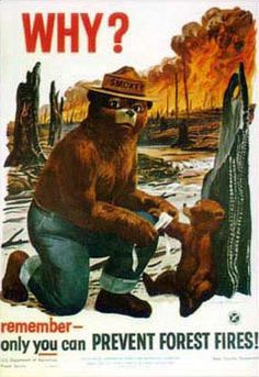 75th Birthday Smokey Bear Prevent Wildfires Boundary Metal Sign